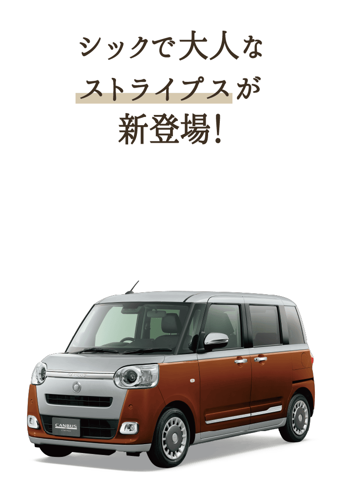シックで大人なストライプスが新登場！